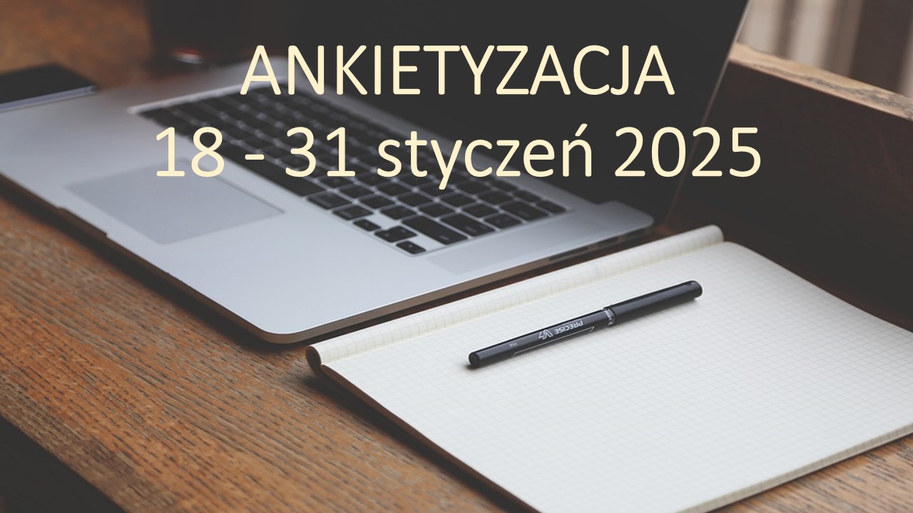 Ankietyzacja 2024-2025