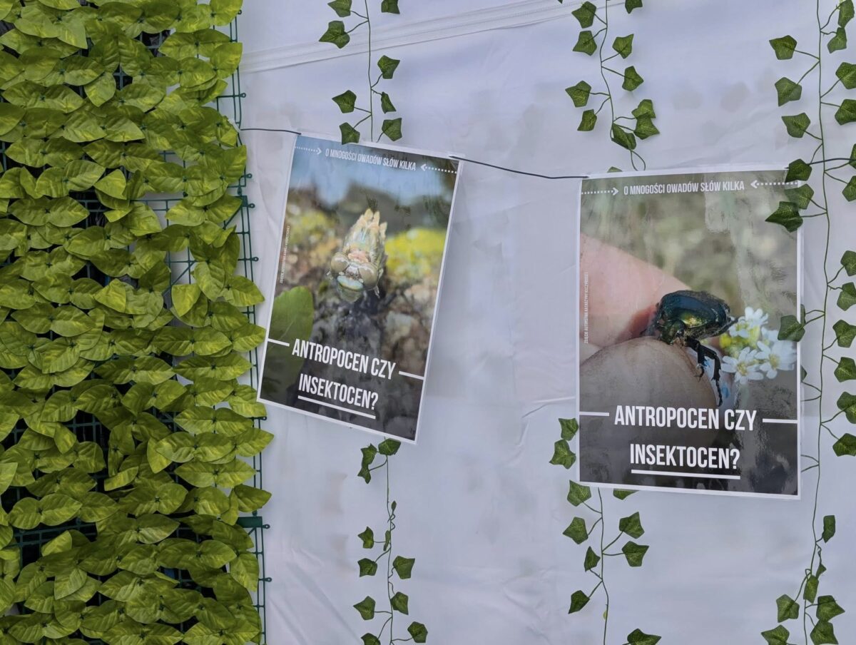 Ścianka z plakatami Instytutu Biologii