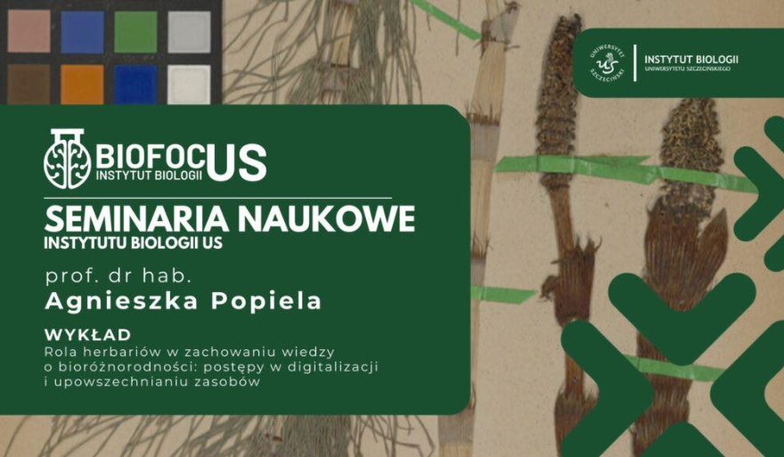 Seminarium Naukowe BiofocUS o herbariach